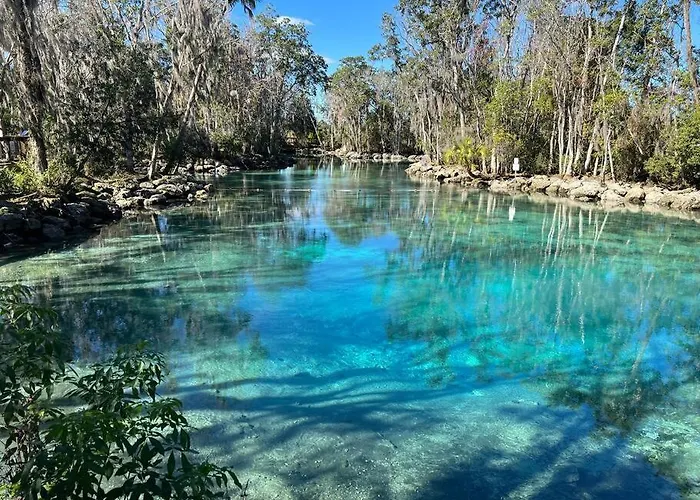 House Of Manatees-Entire House With Yard, Fire Pit, Dog Friendly