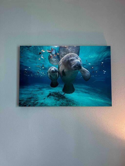Hébergement de vacances House Of Manatees-entire House With Yard, Fire Pit, Dog Friendly *