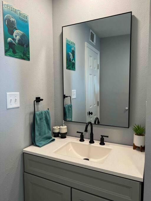 House Of Manatees-entire House With Yard, Fire Pit, Dog Friendly