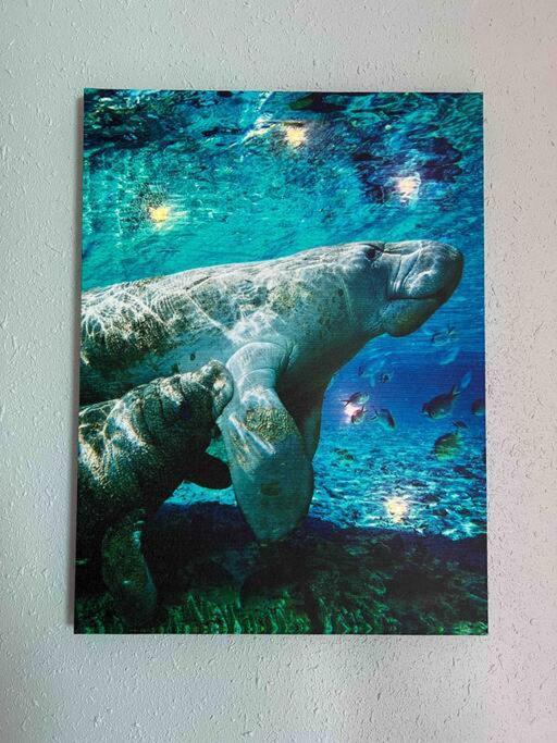 Hébergement de vacances House Of Manatees-entire House With Yard, Fire Pit, Dog Friendly