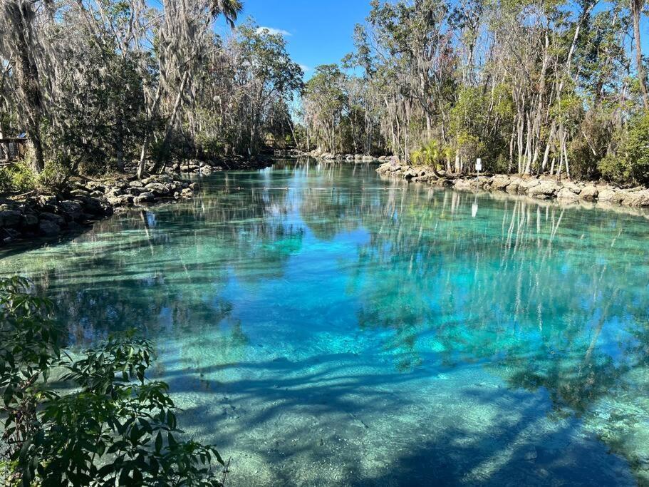 House Of Manatees-entire House With Yard, Fire Pit, Dog Friendly Holiday home